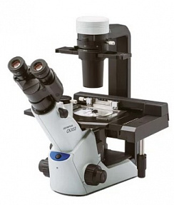 OLYMPUS CKX53